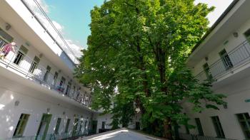 The Hive Party Hostel Budapest, Budapest (foto 4)