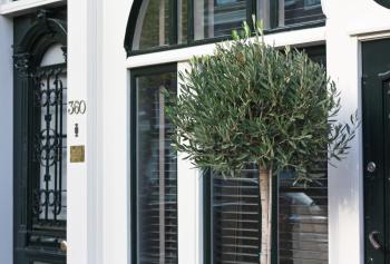 Villa360, Ámsterdam (foto 3)