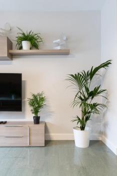Apartamentos Circulo De Artistas, Ronda (zdjęcie 2)