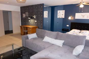 Renovated Apartment in Antwerp city center, Amberes (foto 3)