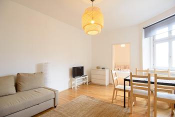 Central Living Apartment 1090 Vienna, Vídeň (fotografie 3)