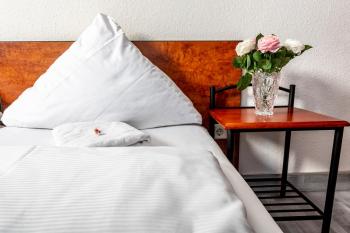 Hotel Stern Stuttgart, Štutgart (fotografie 5)