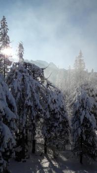 Willa Małgorzata pod skocznią, Zakopane (Foto 4)