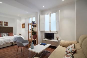 LEEWAYS APARTMENT IV in ALCALÁ 99, Madrid (fotografie 4)