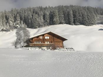 Abelied, Adelboden (photo 4)