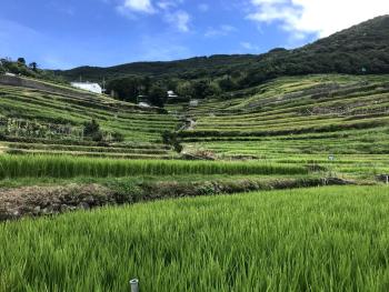 Engawa, Tonosho (Foto 5)