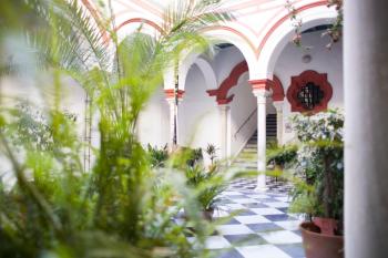 Alohamundi Alfalfa, Sevilla (Foto 2)