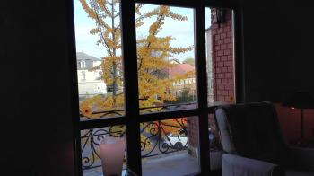 Ferienwohnung Villa Fiedler, Dresden (foto 4)