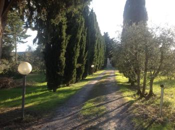 Sunshine Suites, Firenze (foto 2)