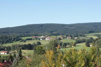 Fewo mit malerischem Bergblick im, Bischofsmais (photo 4)