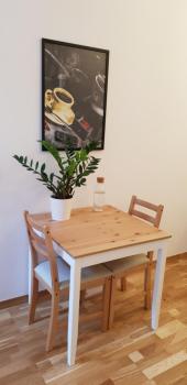Apartment Lenartowicza, Cracovie (photo 3)