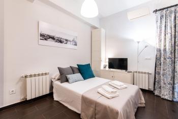 Apavonia Apartamento 1 dormitorio Distrito Latina Madrid, Madrid (fotografie 4)