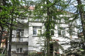 Willa Zlocien, Zakopane (photo 2)