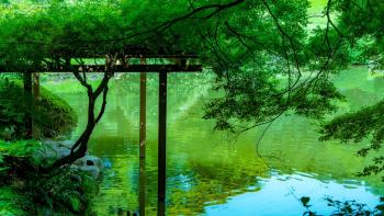 Ryokan Ichinao, Tokio (fotografie 4)