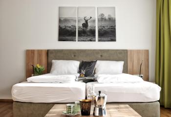 Seelos - Alpine Easy Stay - Bed & Breakfast, Миминг (фото 5)
