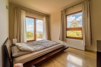 Luxury Green Villa, Budapest (photo 5)