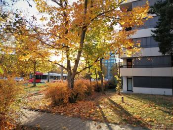 Central-Apt at Lake, CityCenter 5min, Fair 18min!!!, Nuremberg (photo 3)