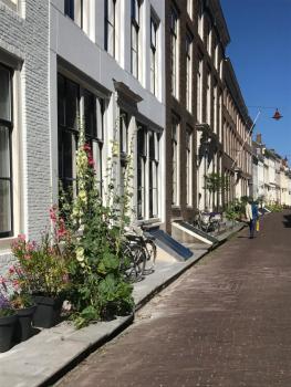 De Carper, Middelburg (foto 2)