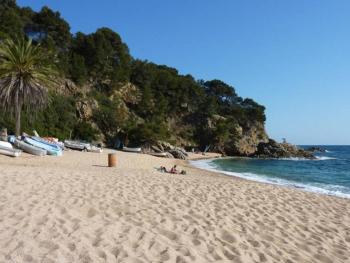Papaya, Lloret de Mar (foto 2)