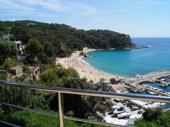 Papaya, Lloret de Mar (foto 5)