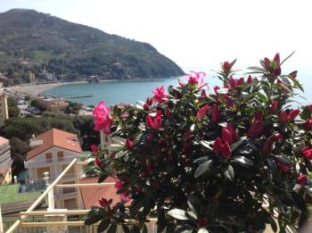 Partenope, Levanto (foto 2)