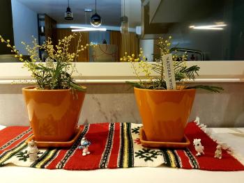 Central Luxury Apartment, Tirana (foto 4)