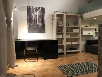 Elegant Apartment, Budapešť (fotografie 3)