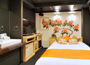 Hotel California Kaminarimon (Adult Only), Tokyo (photo 5)