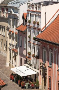 Kanonicza 22, Cracovia (foto 4)
