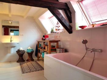 Large Historical Apartment & Canal Terrace, Utrecht (foto 5)