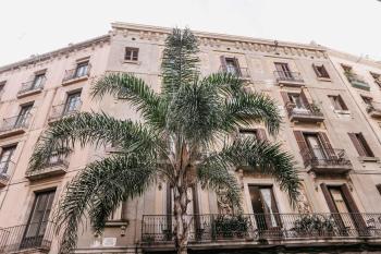 Pensión 45, Barcelona (photo 2)