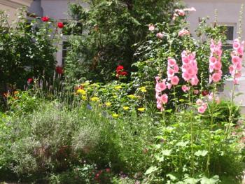 Freundliches Apartment mit Innenhof-Garten, Vídeň (fotografie 2)
