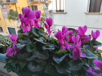 A casa di Luca, Verona (foto 3)