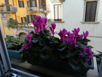 A casa di Luca, Verona (foto 4)