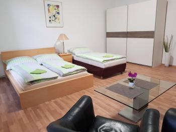 Ferienwohnung Schloessel 26/16, Vídeň (fotografie 3)