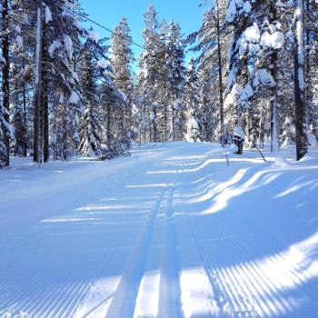 Kelotupa 19, Syöte (foto 3)