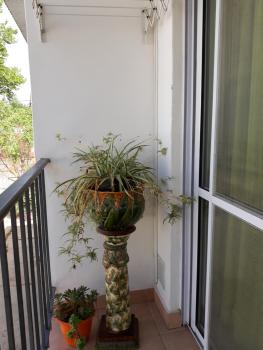 Novas 5, Junín (Foto 5)