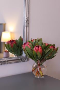 Brookshill - Protea suite, Somerset West (foto 4)