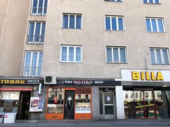 Bright, lovely and quiet apartment at the heart of Vienna, Nachmarkt, City center, Vídeň (fotografie 4)