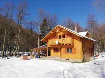Chalet by the river, Văliug (photo 2)