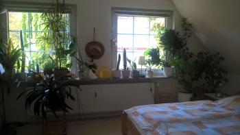 Gemütl. Ferienwohnung und Privatzimmer, Hamburgo (foto 5)