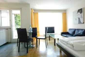 Nice studio with view over the city - Vineyard 52, Curych (fotografie 3)