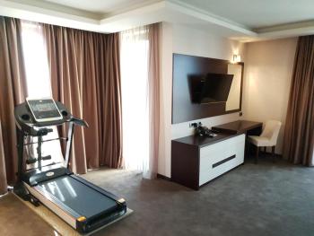 VIKO Boutique Apart Hotel, Sofia (photo 3)