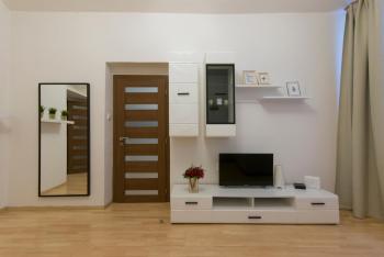 Spacious apartment near Wenceslas Square, Praha (fotografie 3)