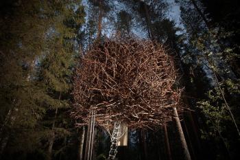 Treehotel, Harads (foto 5)