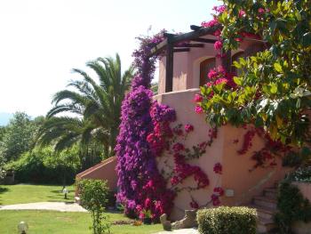 Bed & Breakfast Dessole, Olbia (Foto 3)