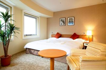 Comfort Inn Tokyo Roppongi, Tokyo (photo 3)