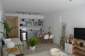 APT New Studio Palermo, Buenos Aires (fotografie 4)