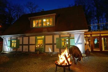 Apartment 5 - Gourmetzimmer, Bestensee (photo 2)