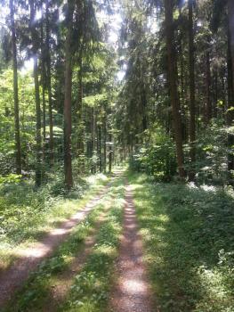 Herberge, Markdorf (fotografie 5)